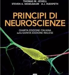 Neuroscienze: i “Principi” di Eric R. Kandel